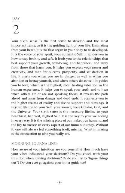 Trust Your Vibes Guided Journal - image 8