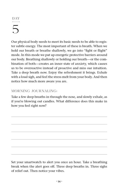 Trust Your Vibes Guided Journal - image 2