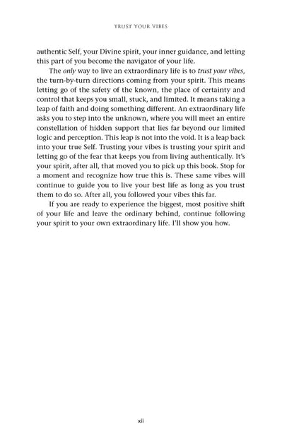 Trust Your Vibes (Revised Edition) - image 7