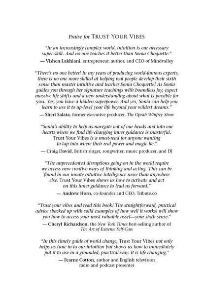 Trust Your Vibes (Revised Edition) - image 10