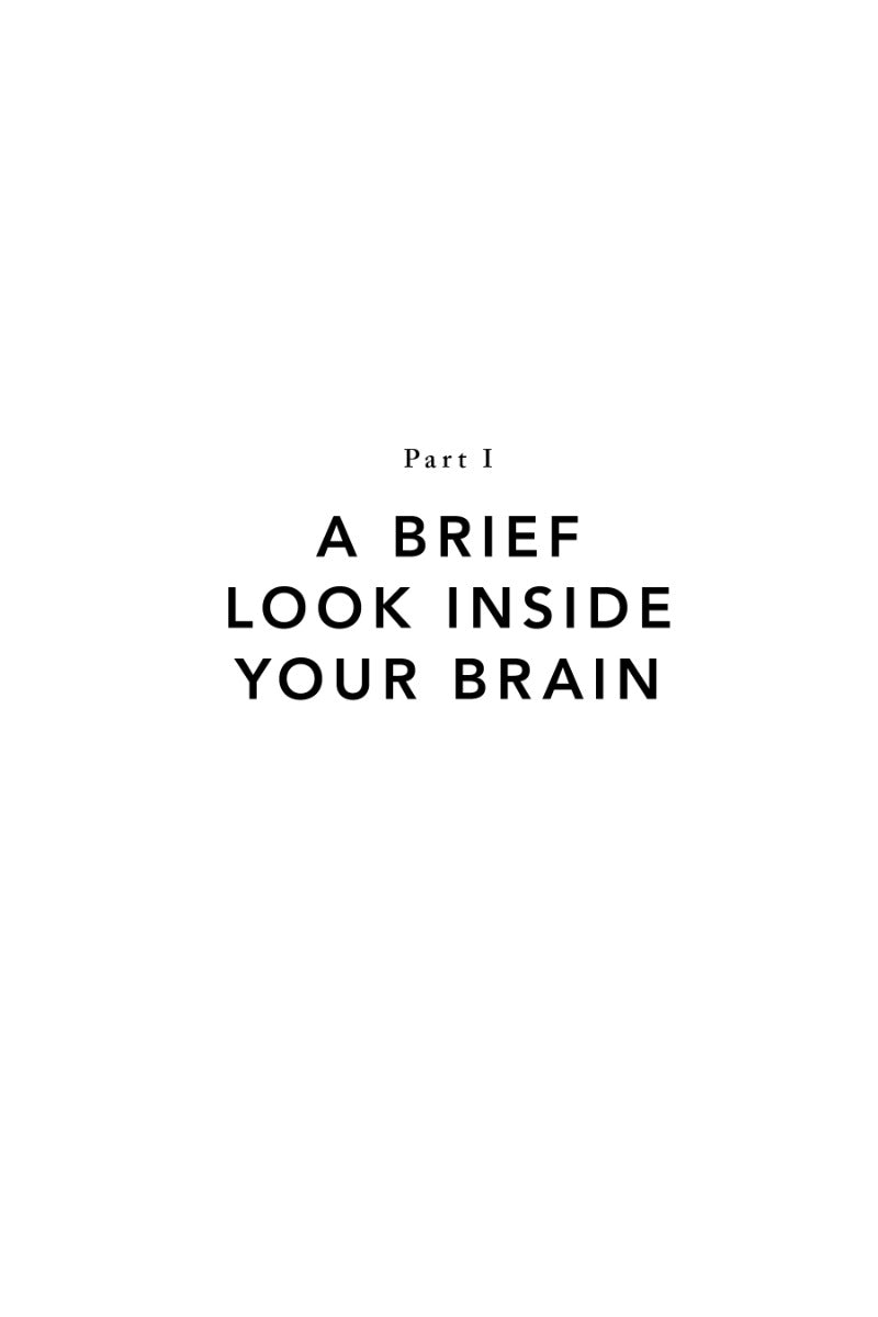 Whole Brain Living - image 8