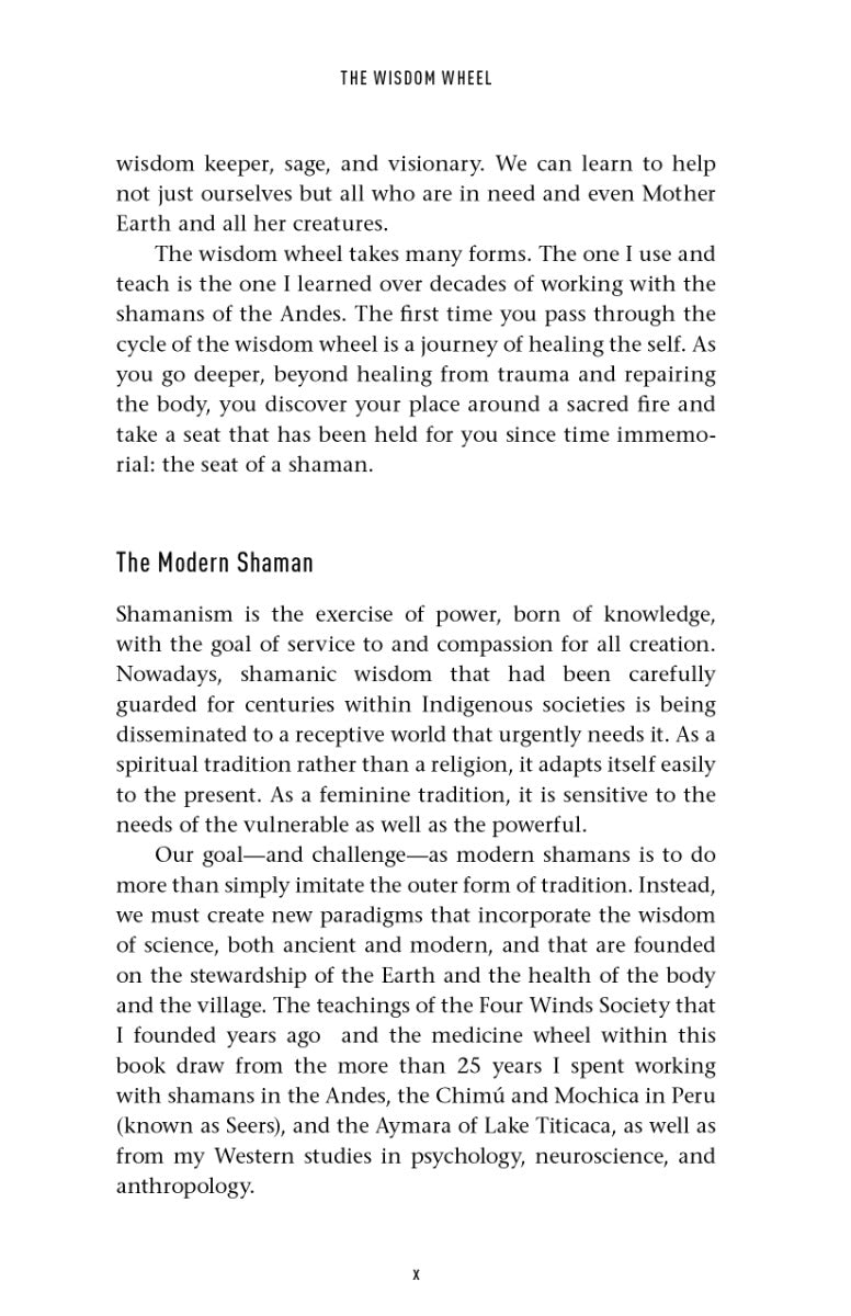 The Wisdom Wheel - image 13