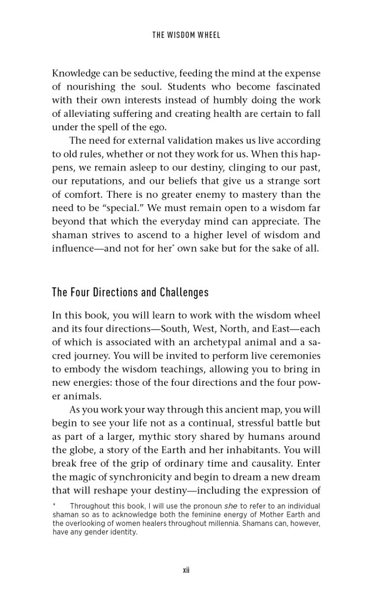The Wisdom Wheel - image 11