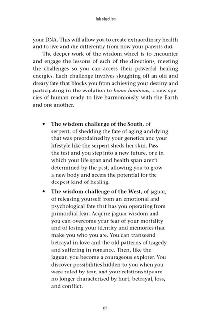 The Wisdom Wheel - image 10