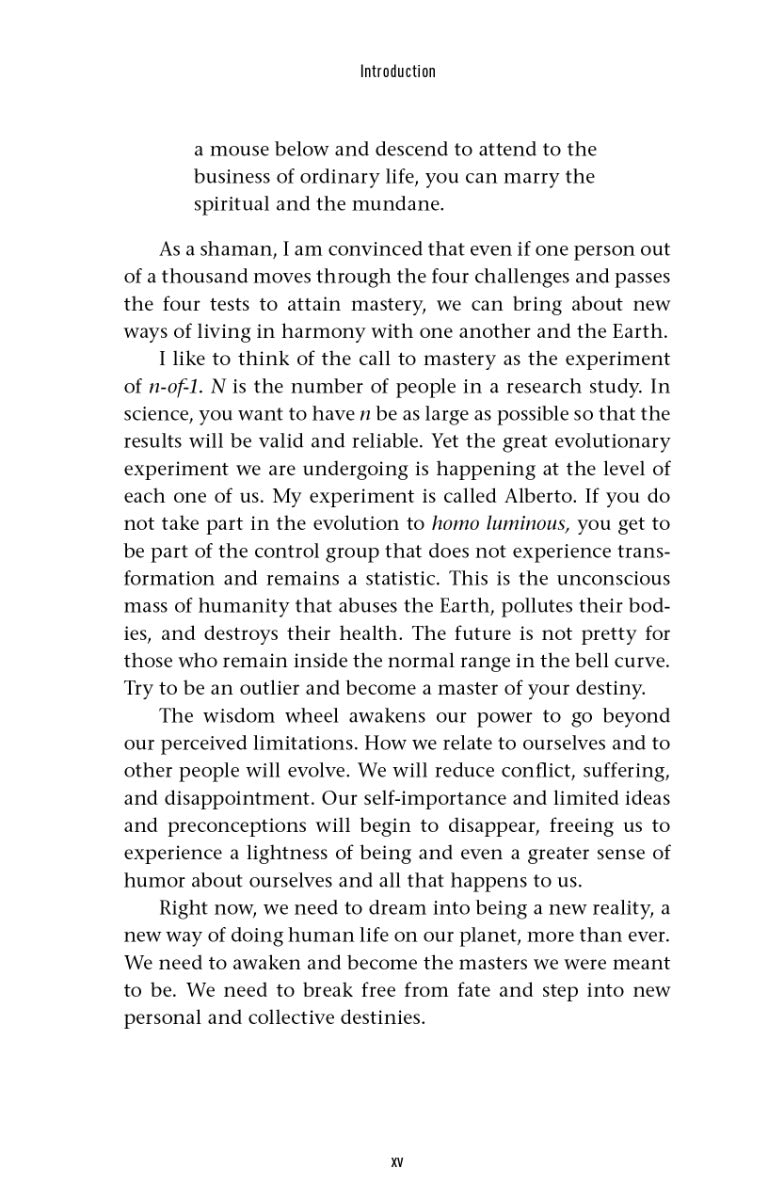The Wisdom Wheel - image 8