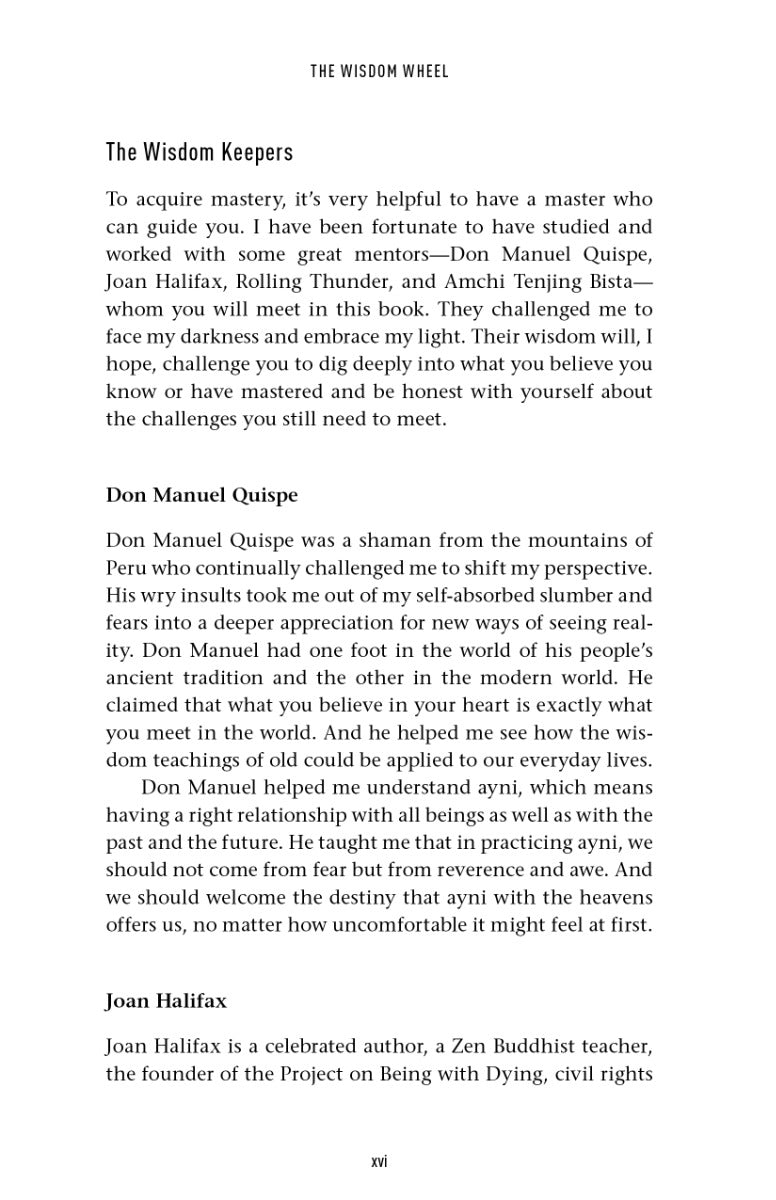 The Wisdom Wheel - image 7